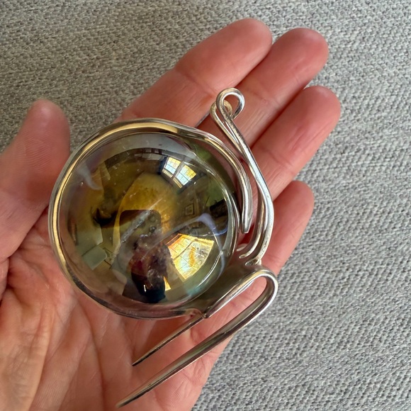 Marble Fork Snail - Picture 9 of 10